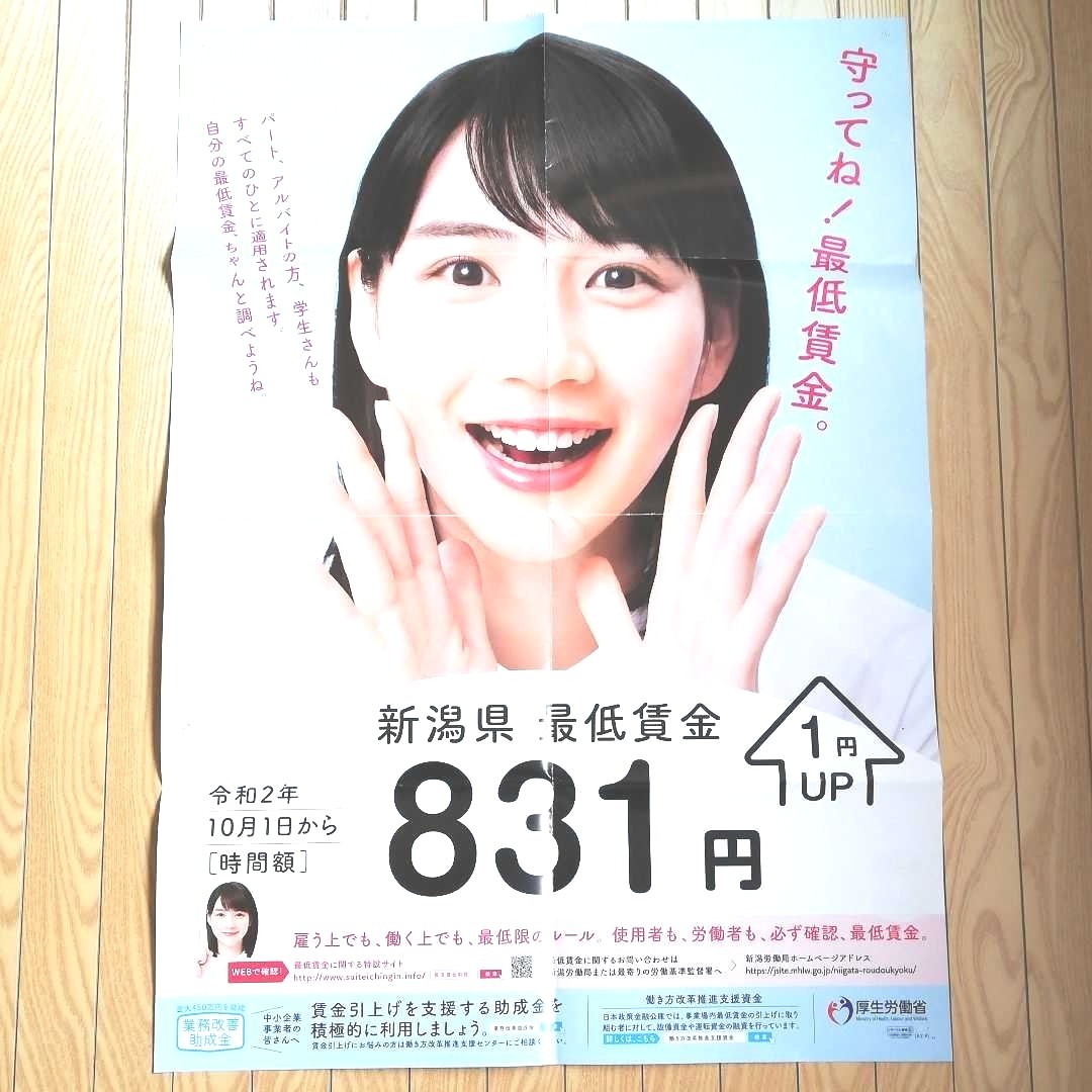 ののん(能年玲奈) ポスター1枚 チラシ2枚 非売品｜Yahoo!フリマ（旧