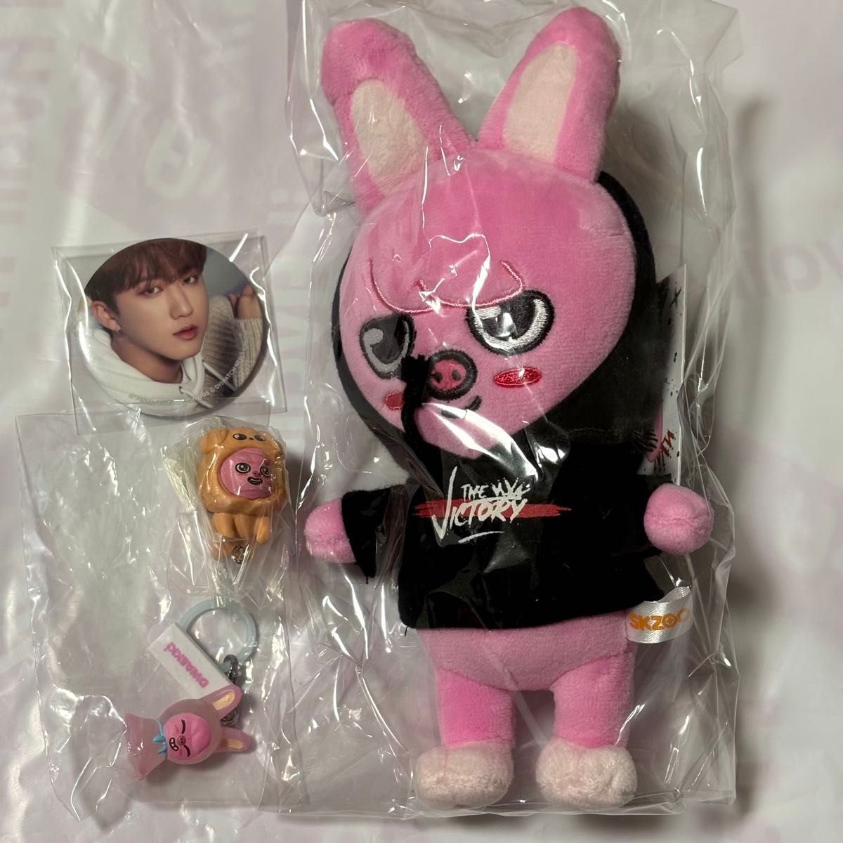 Stray Kids SKZOO ドゥエッキ DWAEKKI チャンビン ぬいぐるみ 缶バッジ