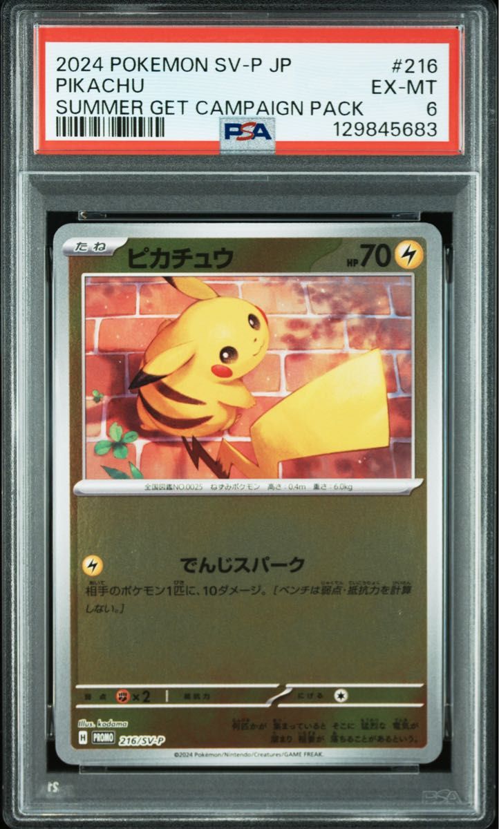 PSA6 ポケモンカード ピカチュウ プロモ SV-P 216 夏がキタ PSA9