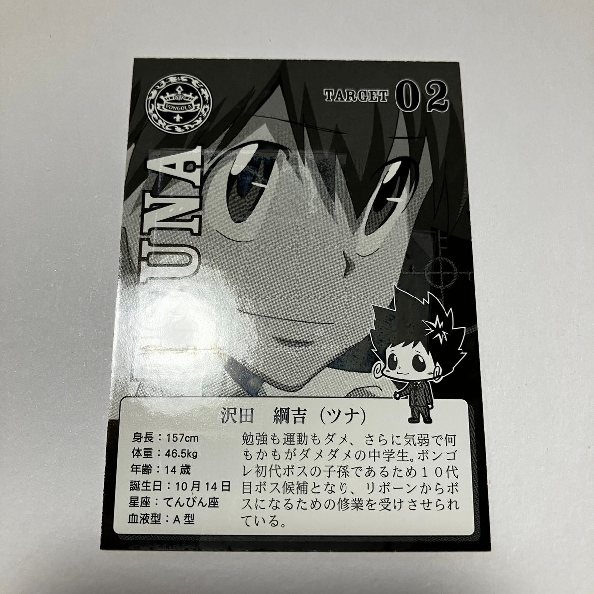 家庭教師ヒットマンREBORN リアルペイントシート ツナ 沢田綱吉 ナッツ
