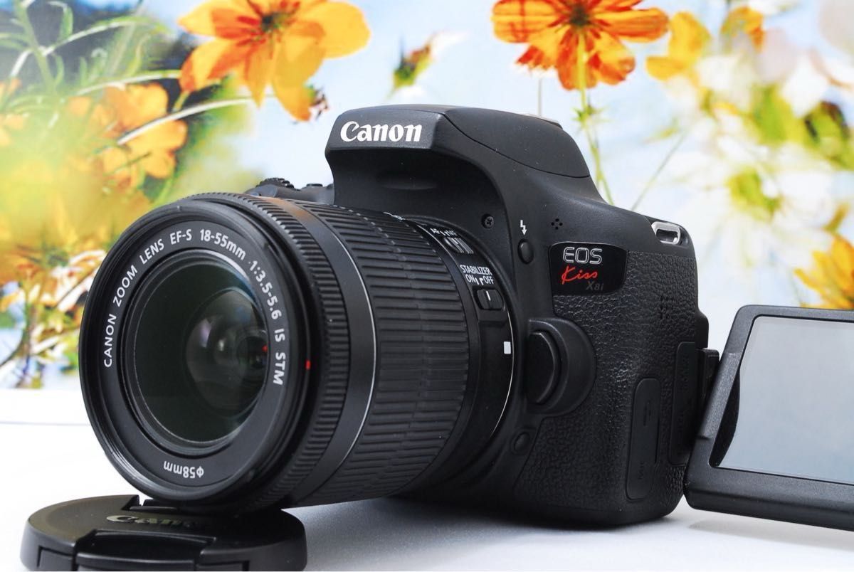 特別価格】極美品 Canon EOS Kiss X8i 高性能 STMレンズ Wi-Fi機能