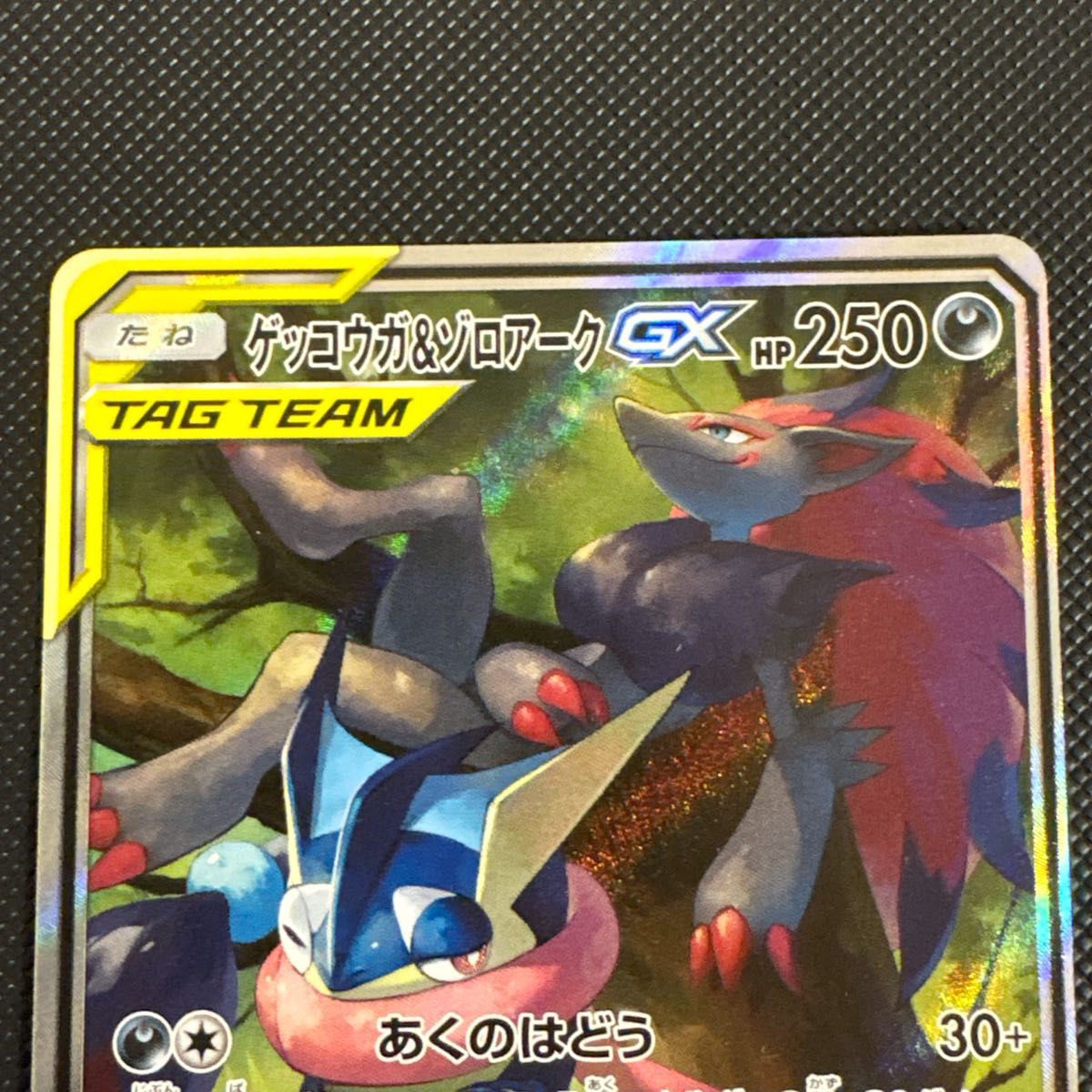 ポケモンカード ゲッコウガ＆ゾロアークGX SR SA SM9a ナイトユニゾン