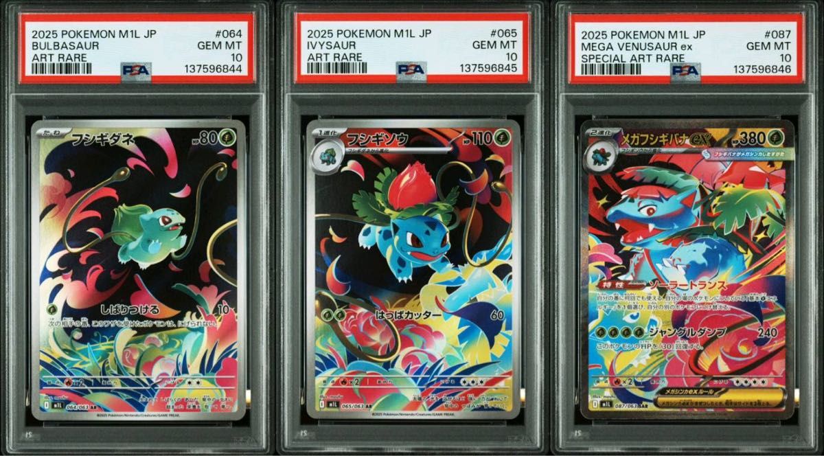 三連番 メガフシギバナex SAR フシギダネ AR フシギソウar PSA10 メガ