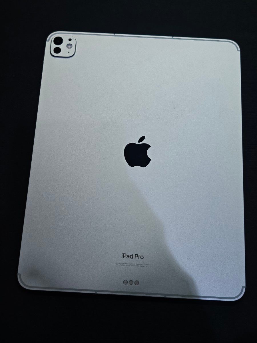 バッテリー100% 美品 最安値】Apple 13インチ iPad Pro (M4) セルラー