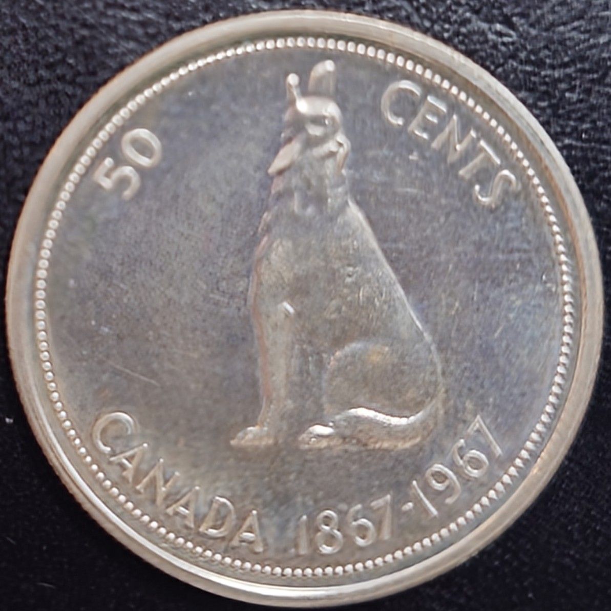 1967年 カナダ銀貨 ハーフダラー ウルフ 建国100周年記念銀貨