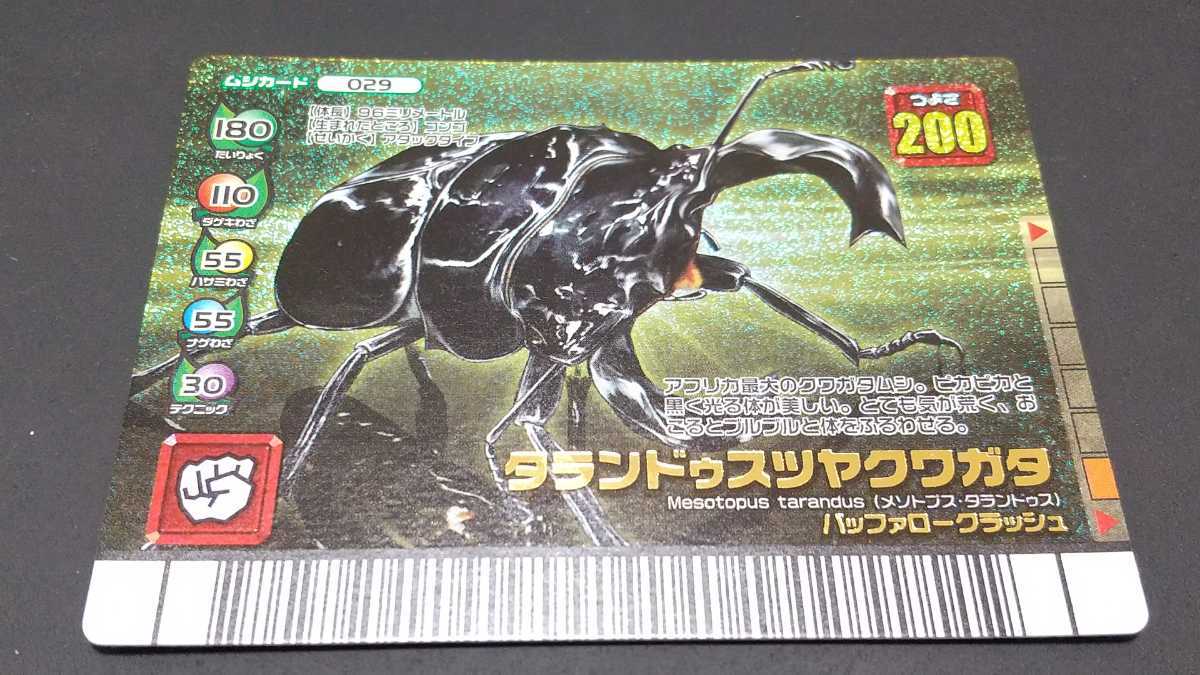 PSA10 タランドゥスツヤクワガタ フォレストグリーン 右向き PSA10