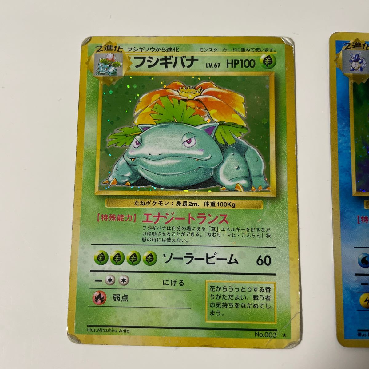 フシギバナ カメックス リザードン 旧 ポケモンカード｜Yahoo!フリマ