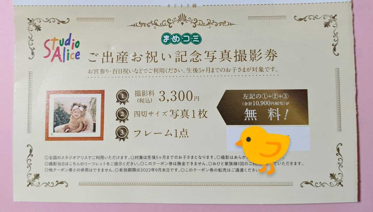 Yahoo!オークション - まめコミ スタジオアリス 撮影無料券