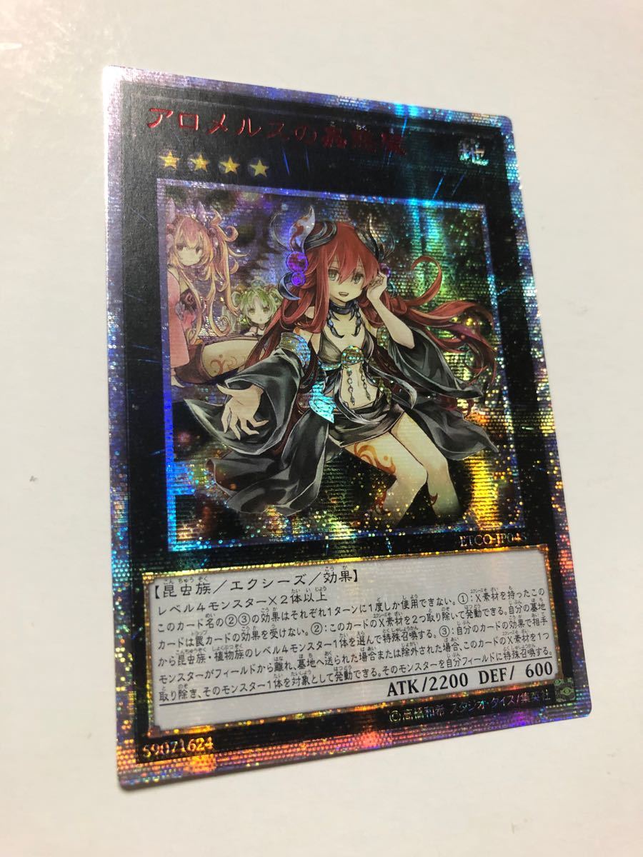 遊戯王 アジア版 アロメルスの蟲惑魔 20thシークレットレア 20thシク