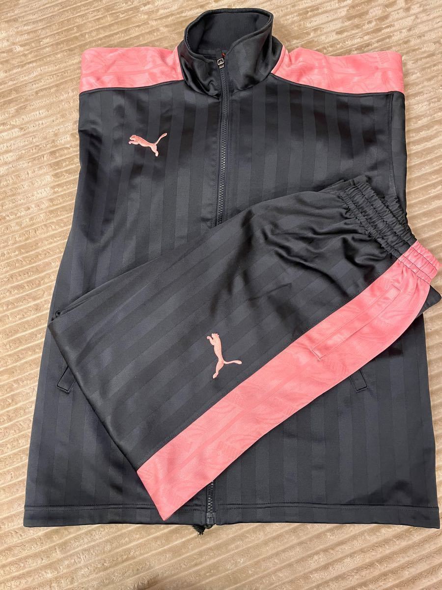 PUMA プーマ ジャージ プージャ ピンク グレー 上下セットアップ