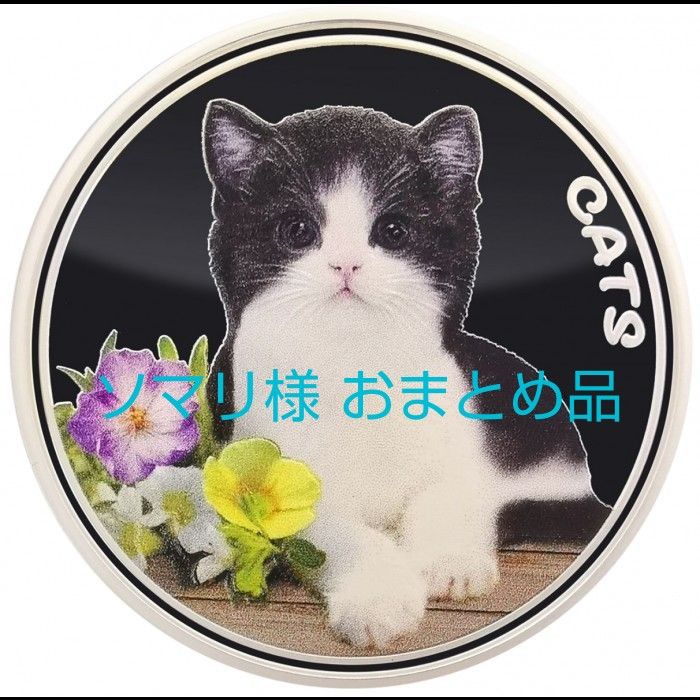 最新作 2022年 フィジー 猫シリーズ第2弾 カラー版 1オンス銀貨 純銀