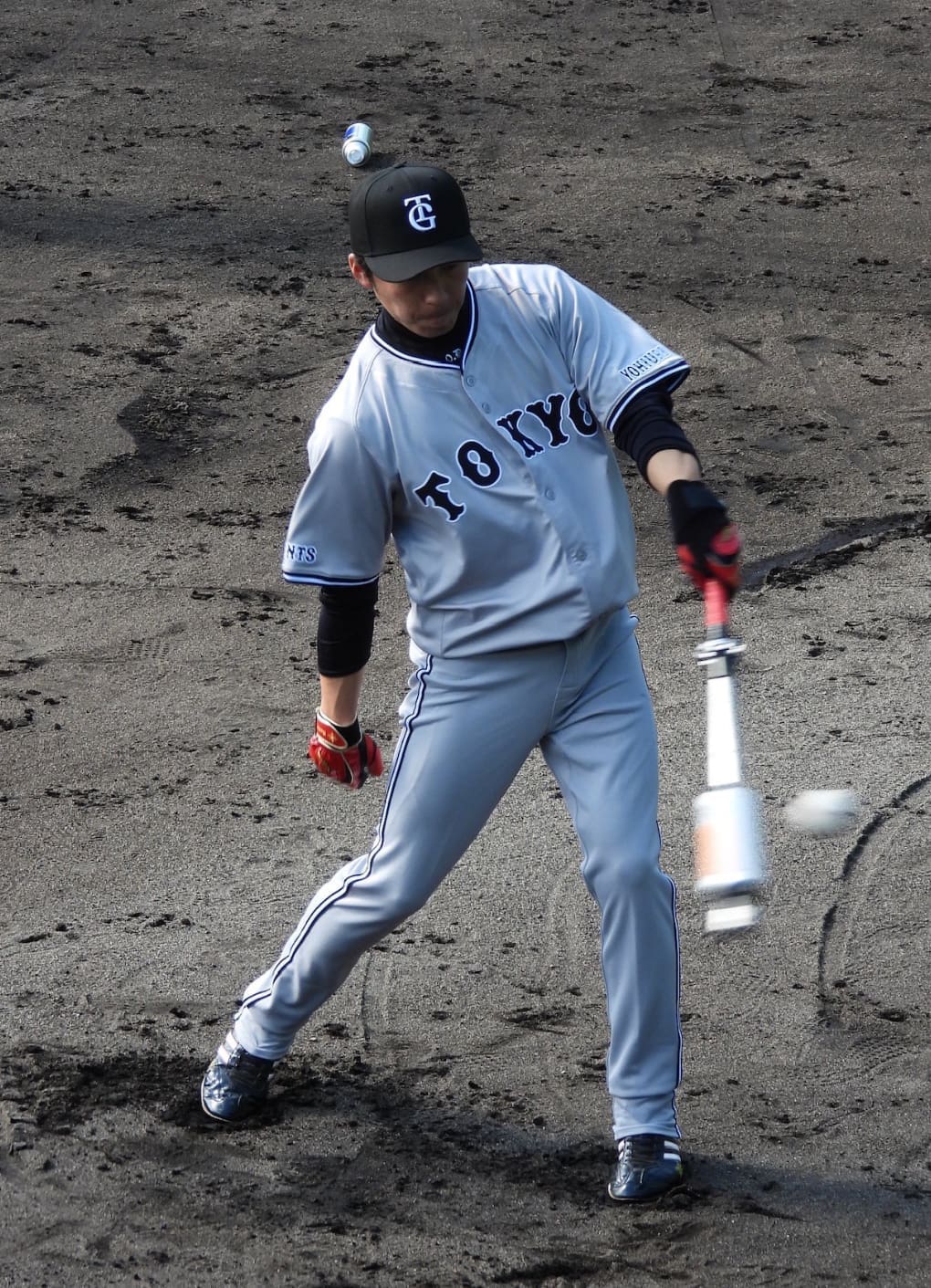 PROVELOCITY BAT - RHK Trading - 野球トレーニング用品