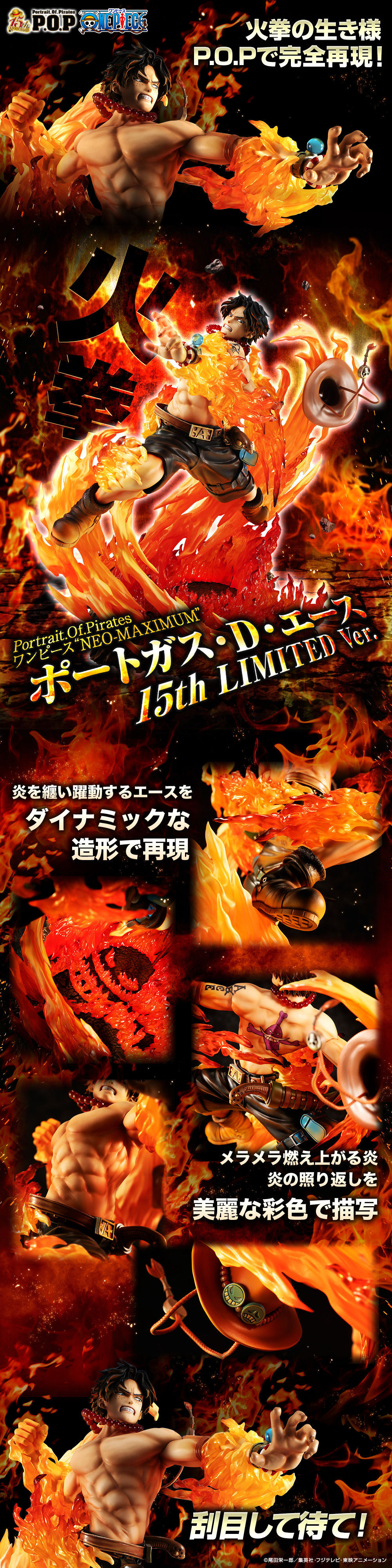 抽選販売】Portrait.Of.Piratesワンピース“NEO-MAXIMUM” ポートガス・D