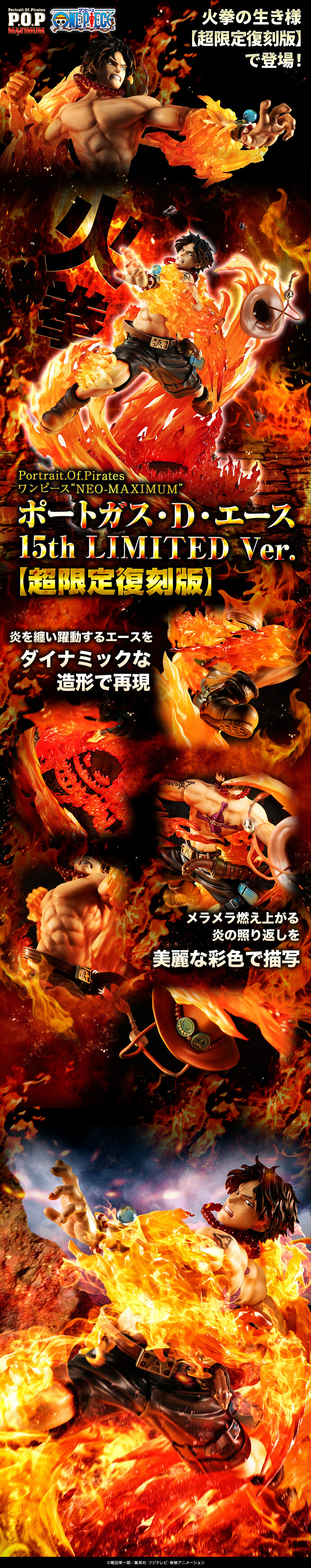 Portrait.Of.Pirates ワンピース “NEO-MAXIMUM” ポートガス・D・エース