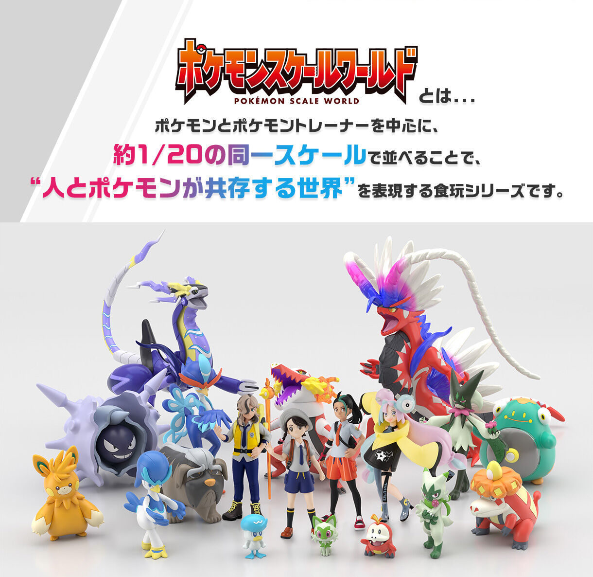 ポケモンスケールワールド パルデア地方 コライドン