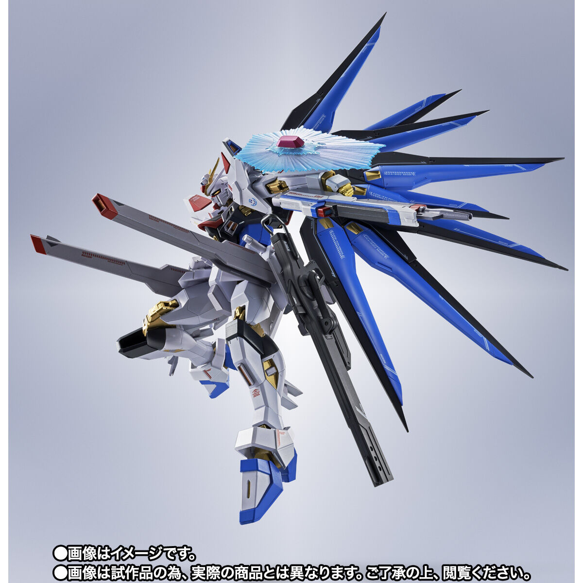 抽選販売】METAL ROBOT魂 ＜SIDE MS＞ ストライクフリーダムガンダム