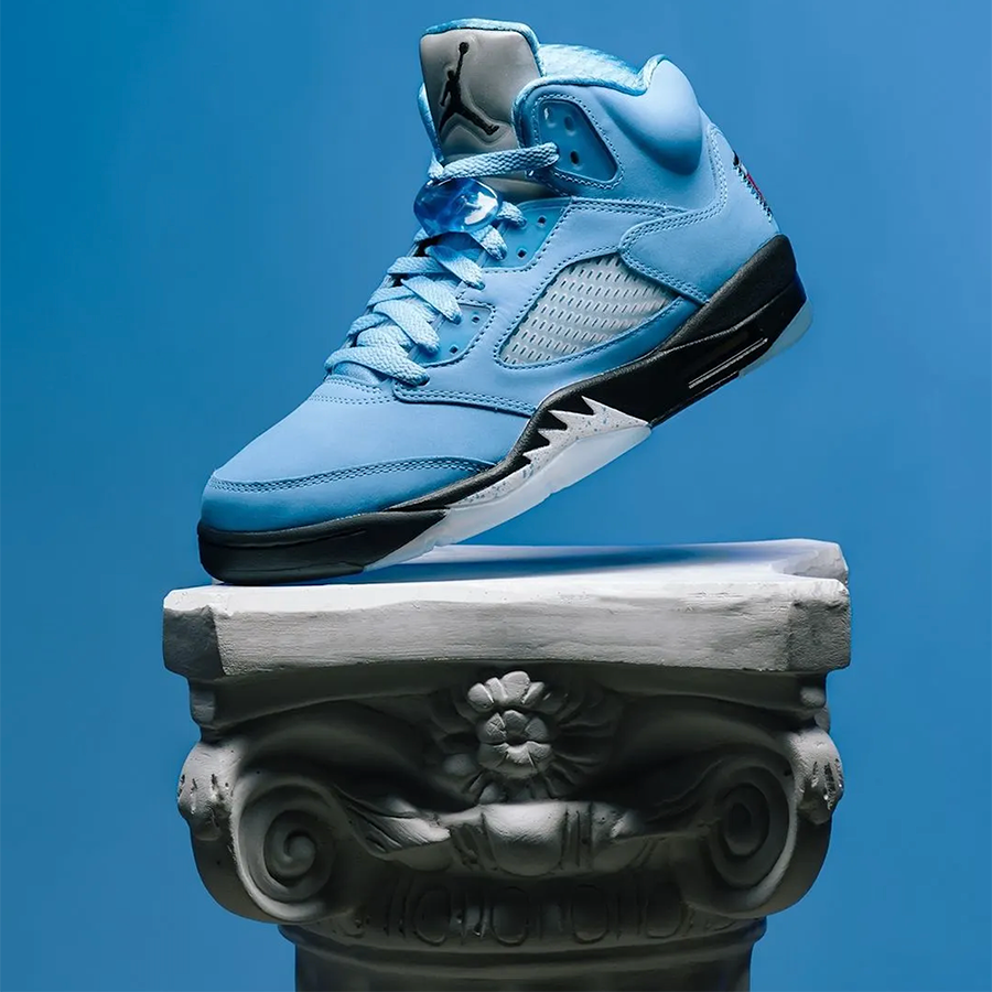 Nike Air Jordan 5 Retro SE 