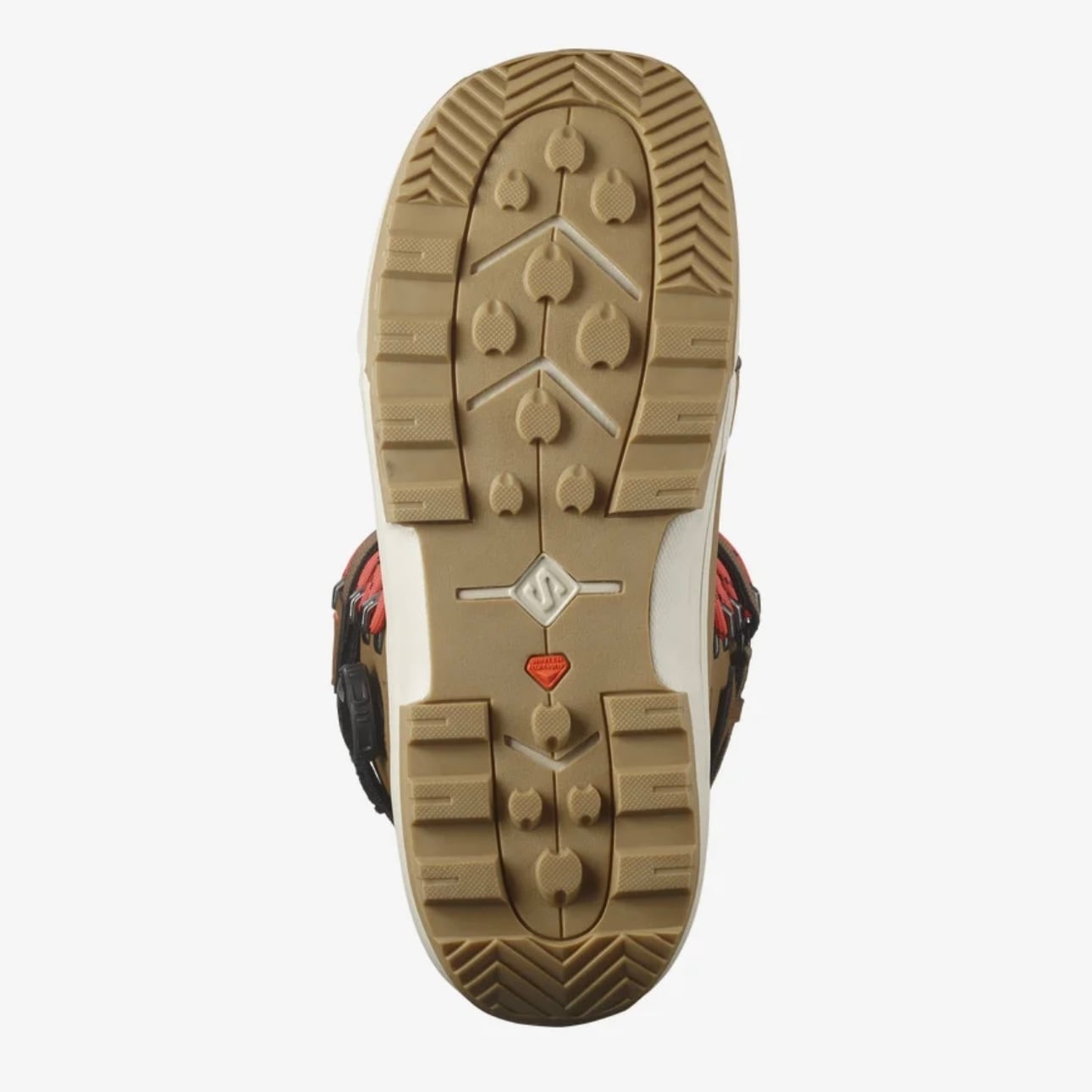 Salomon 『 ECHO LACE SJ BOA 』 24-25 snowboard スノーボード