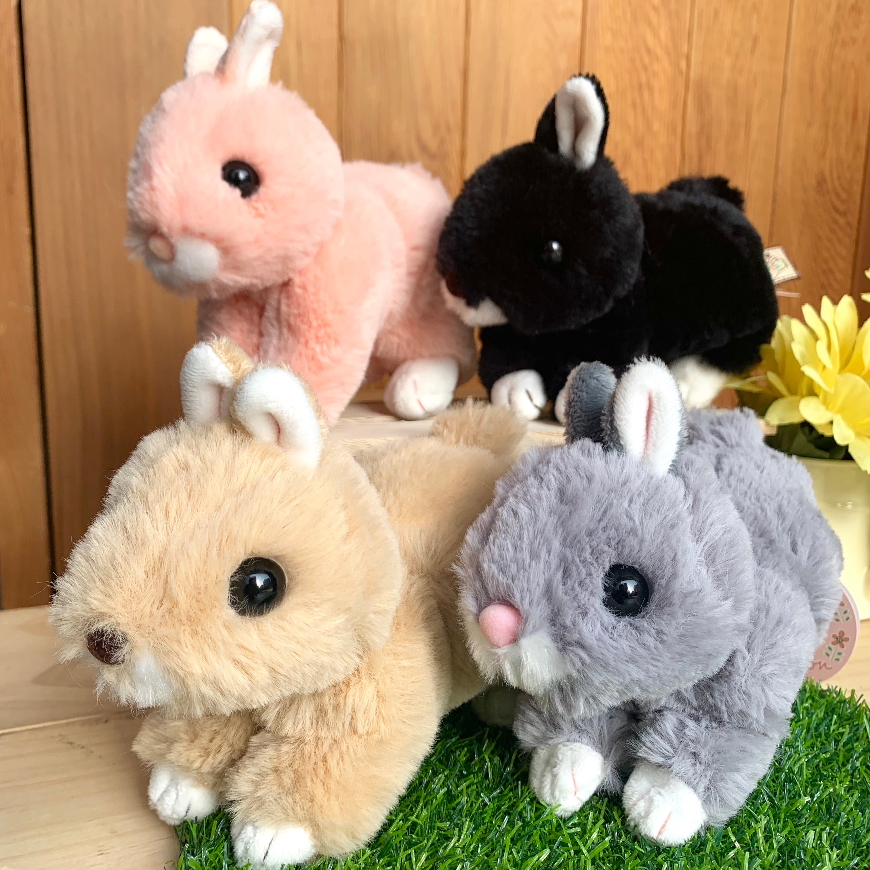 うさぎのマロン ネザーランド・ドワーフ グレー | 円山裏参道WawA