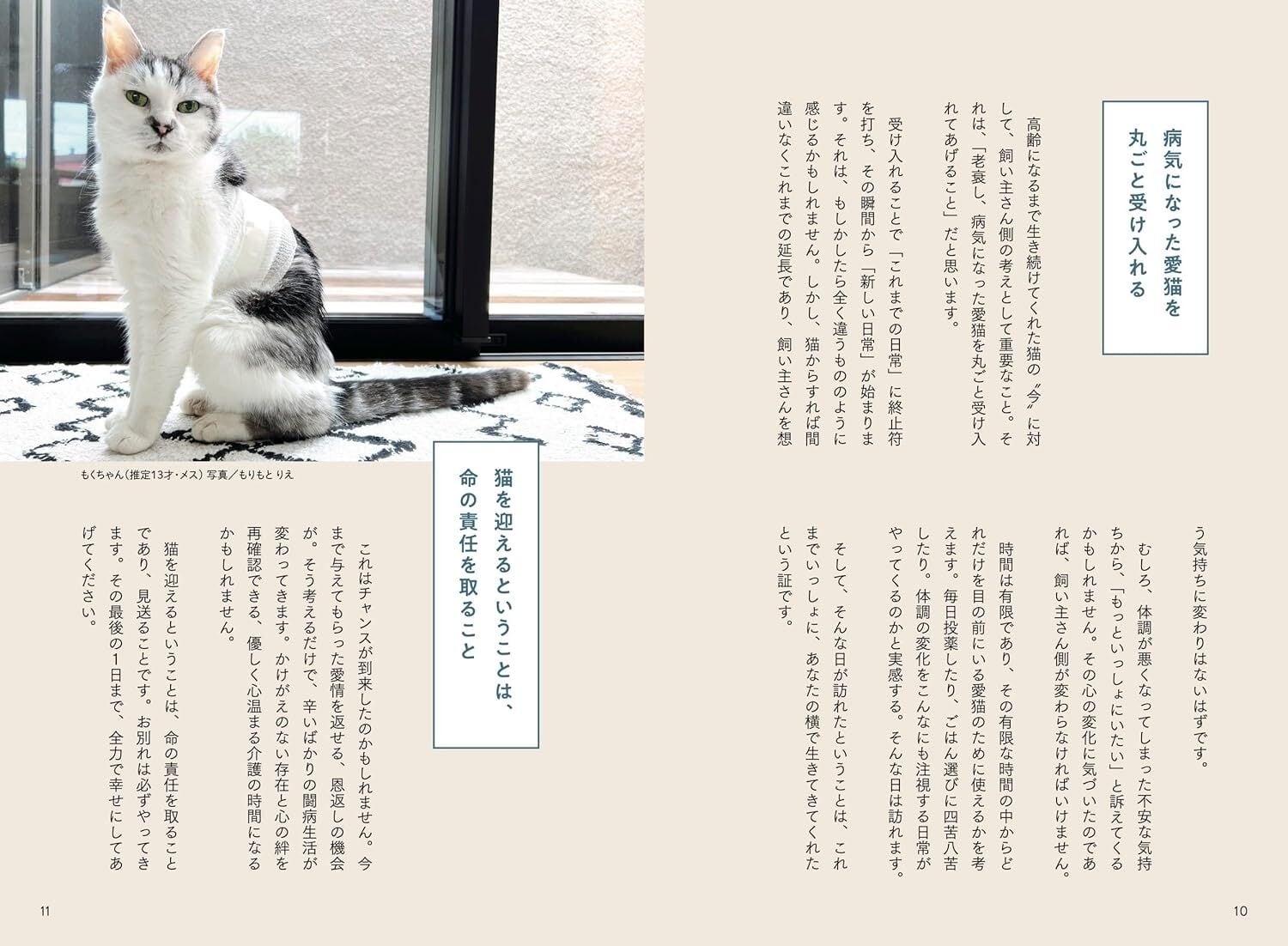 書籍「猫の介護ハンドブック」 | comugineko webshop