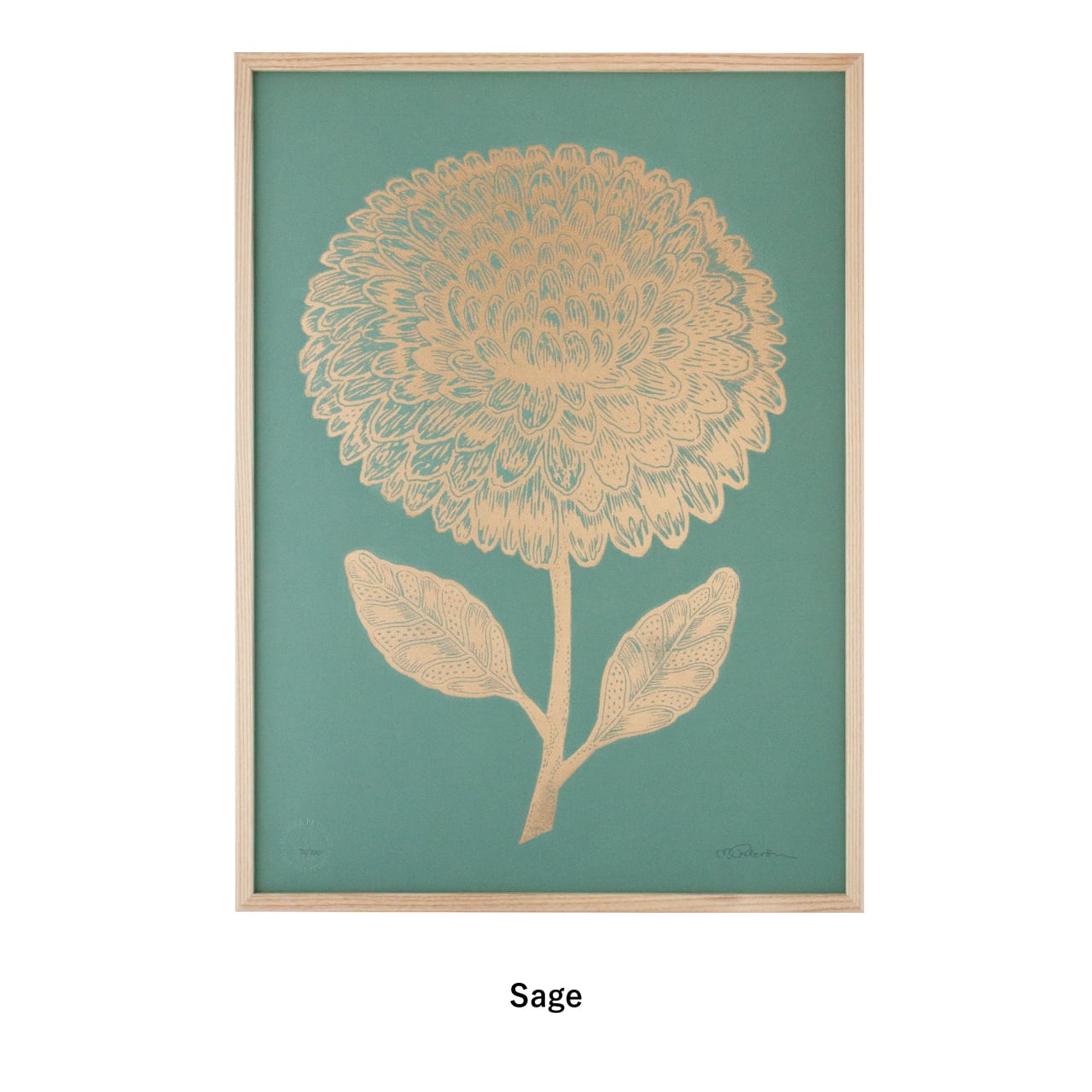Monika Petersen Lino Print ポスター Dahlia フレームセット | ANGERS