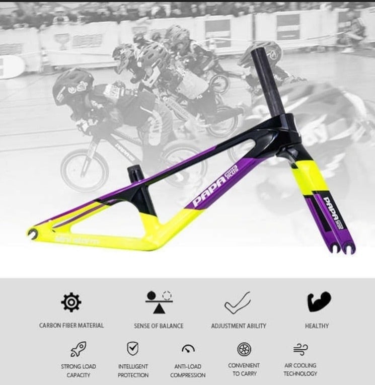 あみさん専用】papabike Mini Storm バイクフレーム MINI STORM