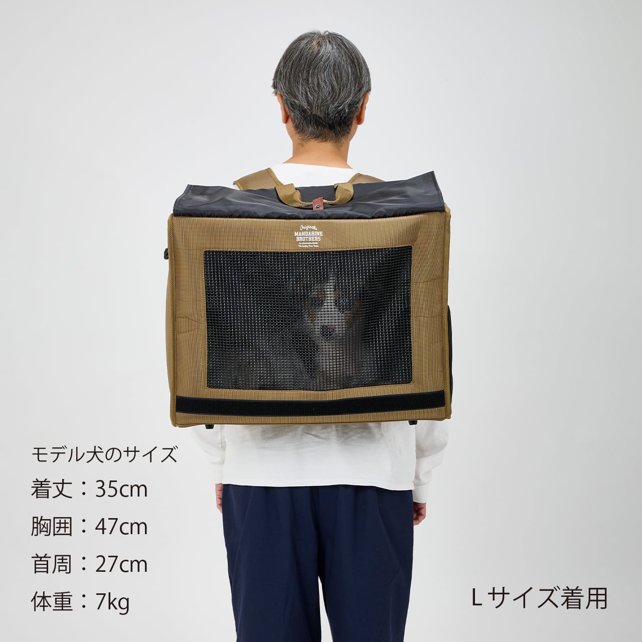 Renewal】BRIXTON CARRY BACKPACK −WIDE−（L）ブリクストンキャリー