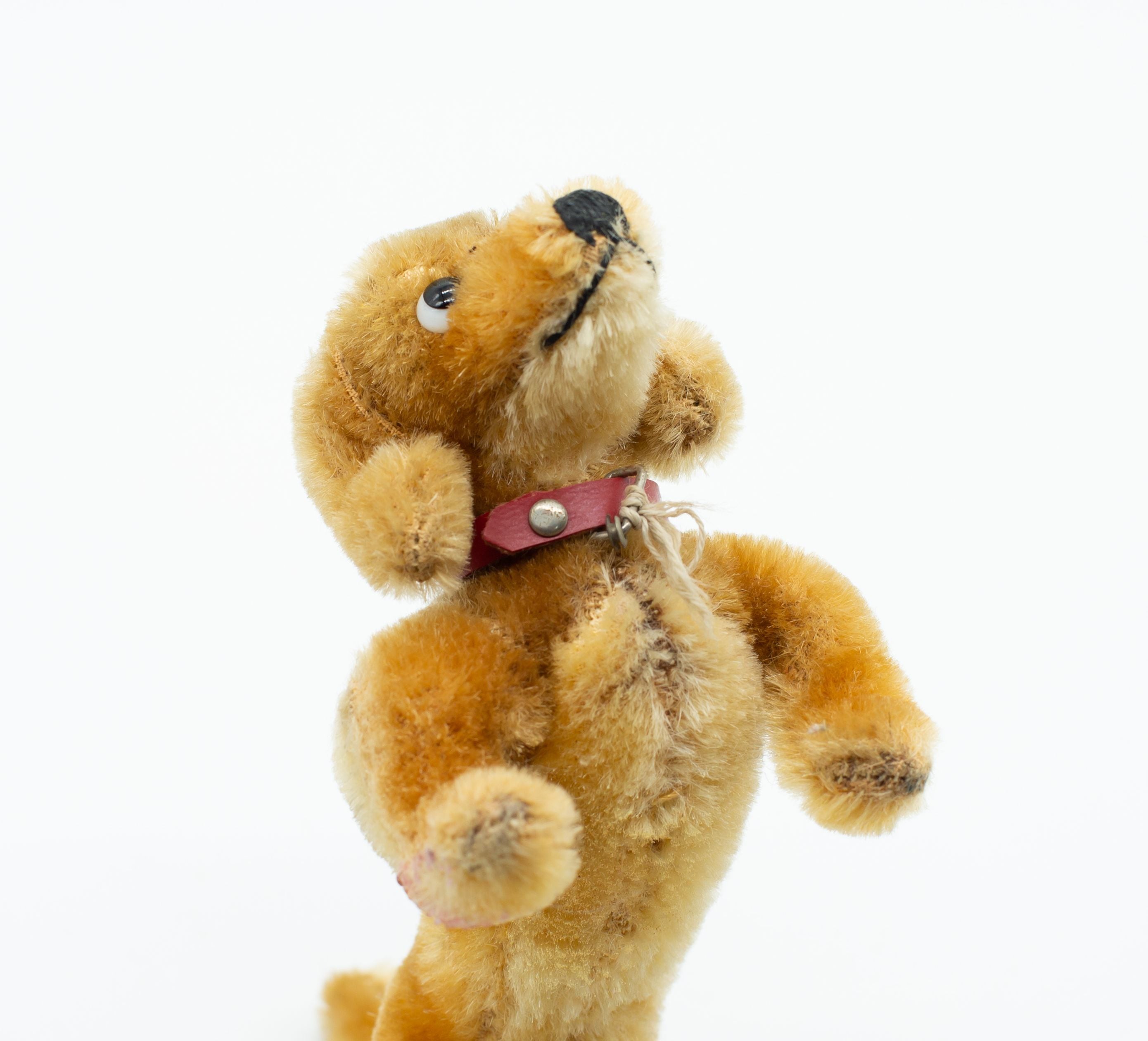 アンティークシュタイフ ダックスフント Steiff 「Hexie」13cm