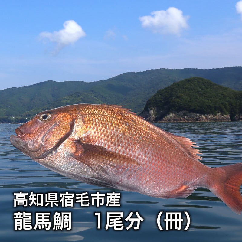 高知県宿毛市】龍馬鯛（タイ）1尾分 2冊（約450g） | 大畑大介商店