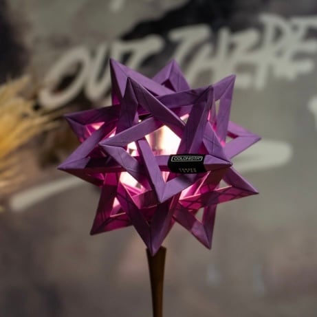 CONPE10 Purple | COLONISTA
