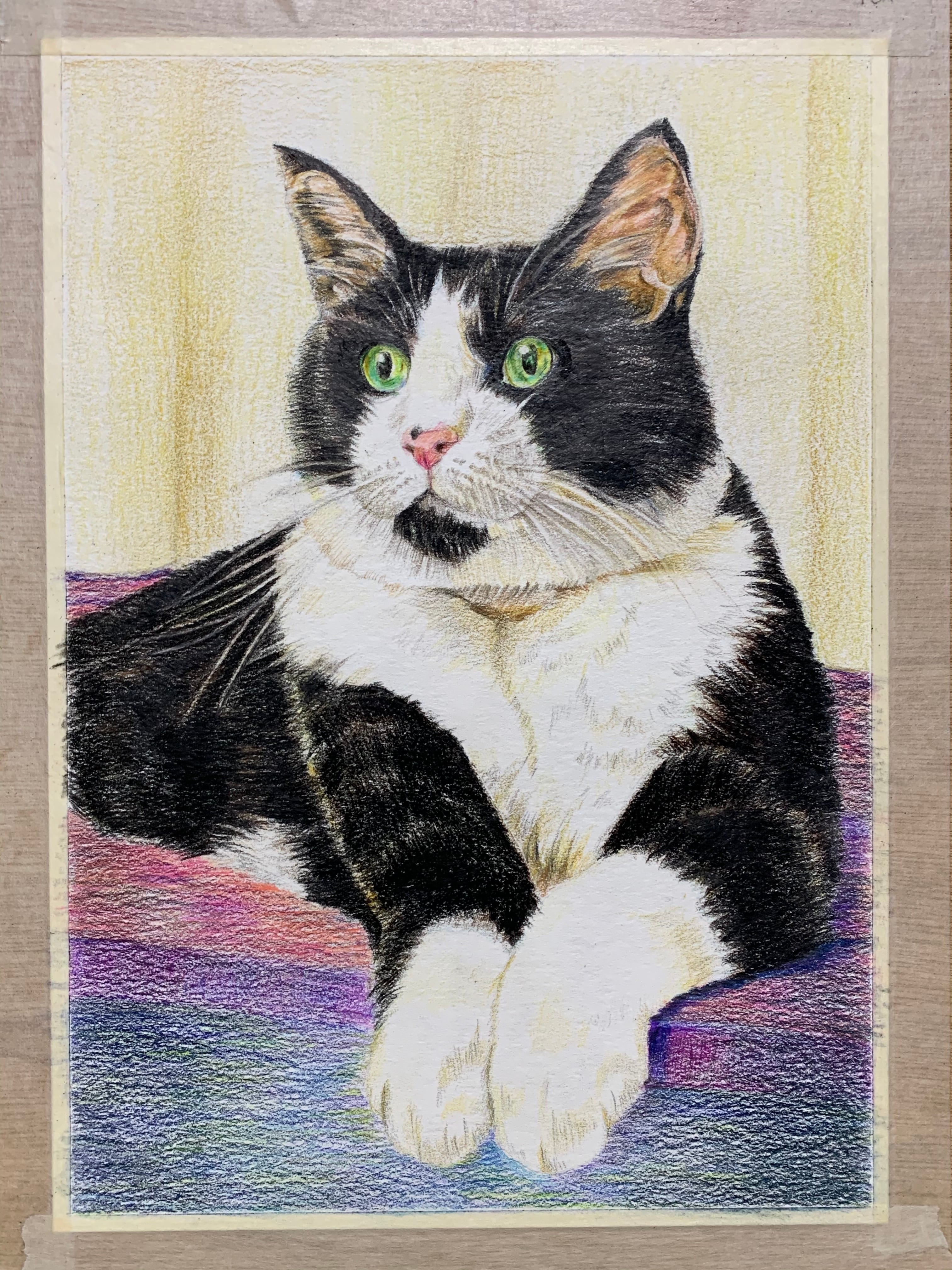 オーダーメイド色鉛筆画(A4サイズ) | ペットの肖像画屋さん