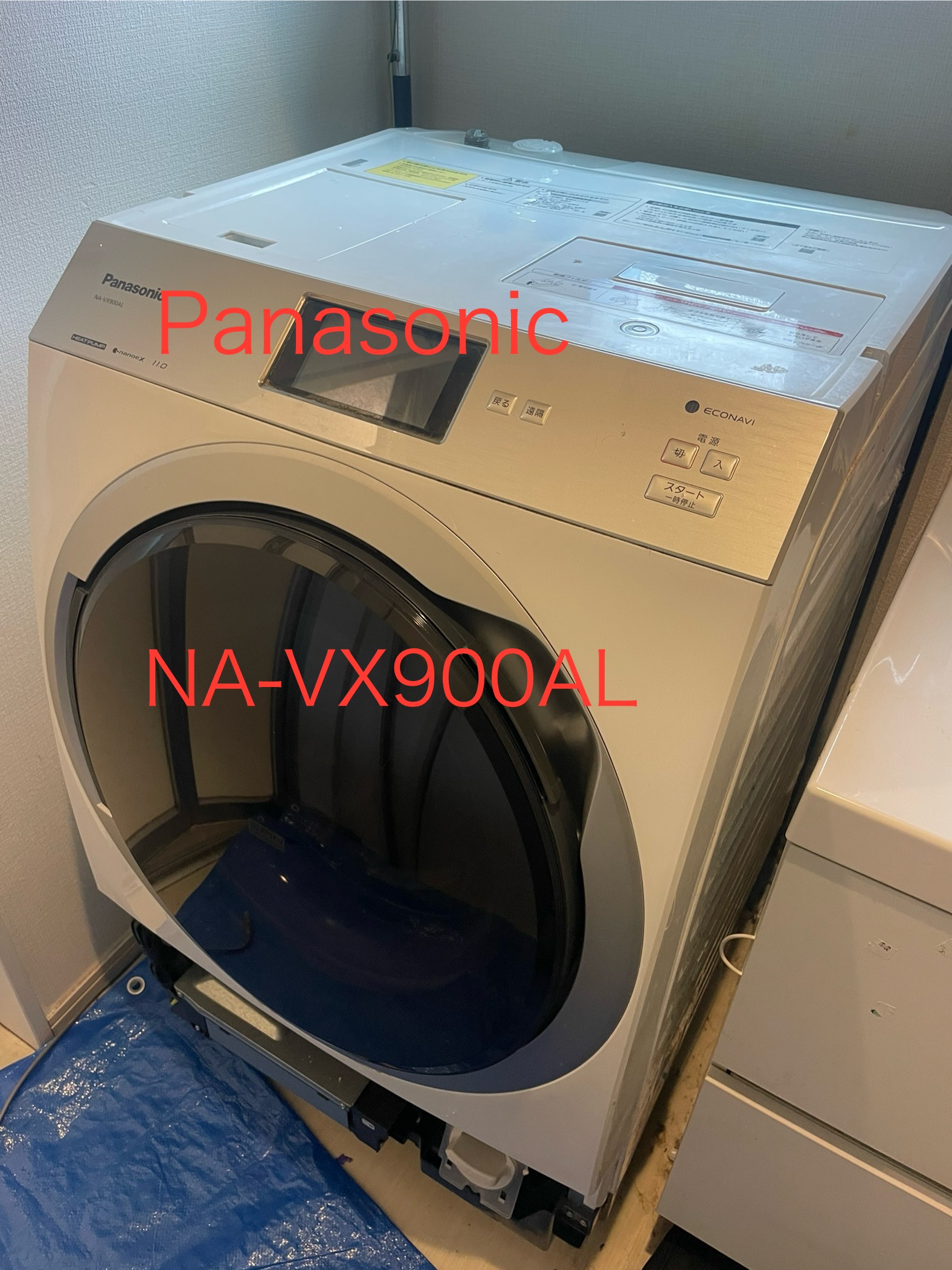 IMG_7461.jpeg