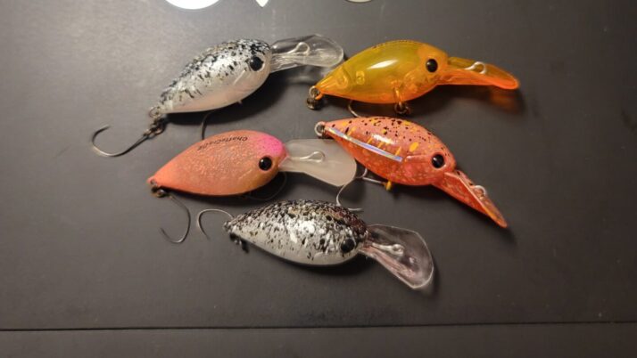 エリアトラウト】ディスプラウトのチャタクラをインプレ！このクランク