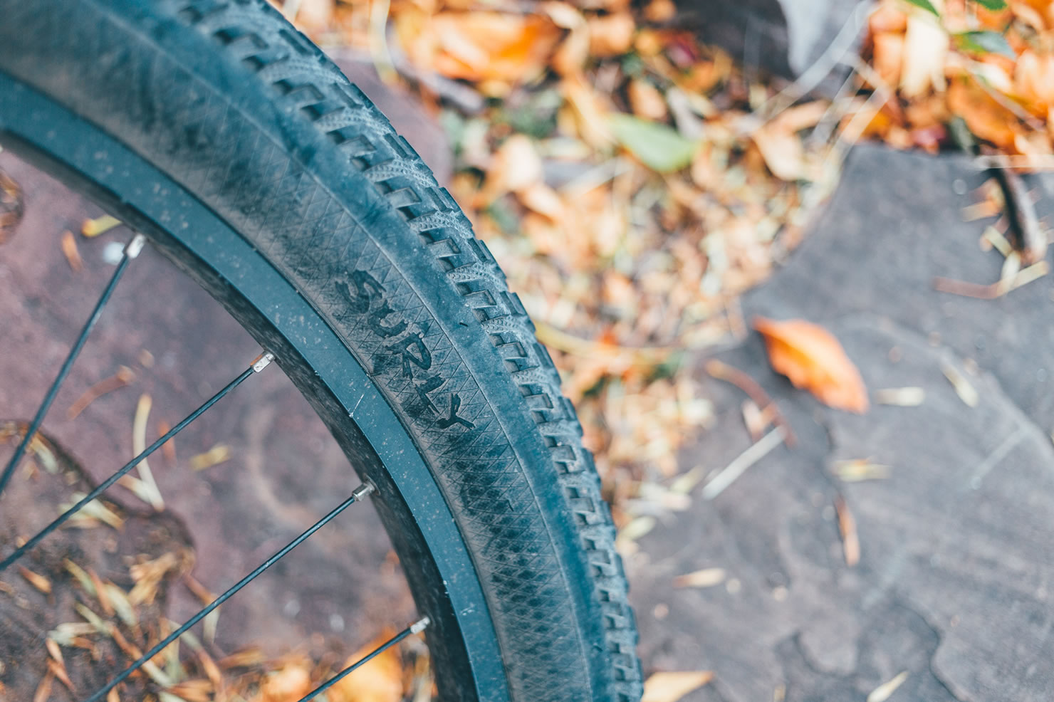 Surly ExtraTerrestrial Tires, Touring - BIKEPACKING.com