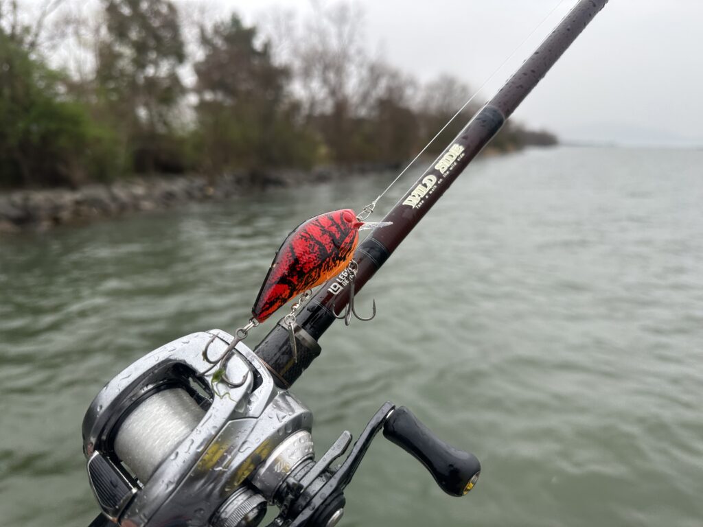 デジーノ スラング/ハングアウトをインプレ | 琵琶湖バスライフ