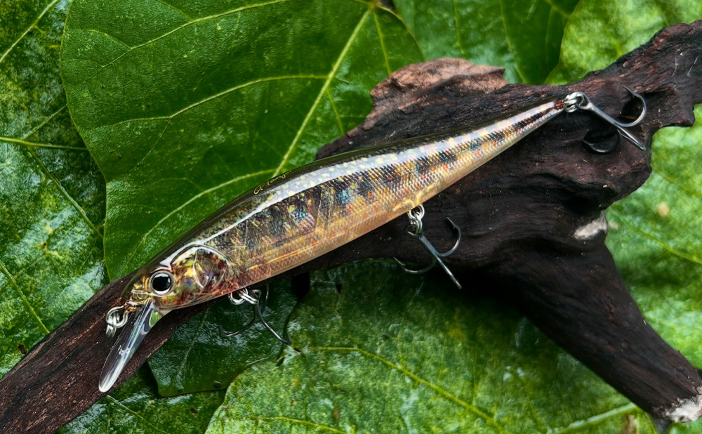 news – Bottomup(ボトムアップ)公式サイト