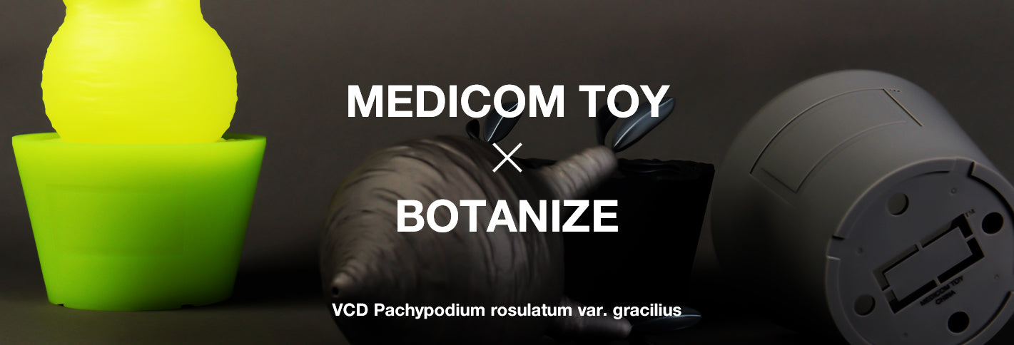 botanize.jp – BOTANIZE