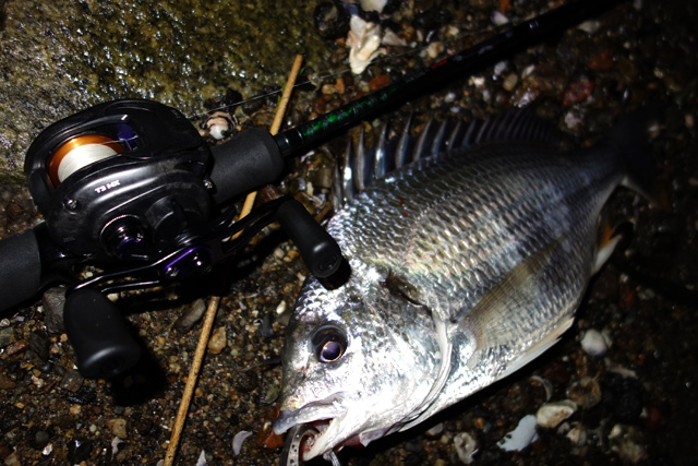 スモールプラグレボリューション | 淀川キビレマニアックス