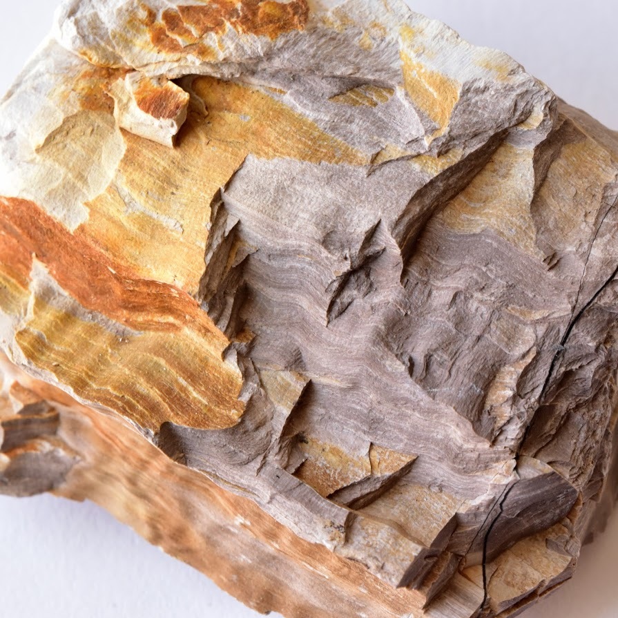 珪化木 ペトリファイドウッド 石になった木 愛知県犬山市産 145g/ 化石