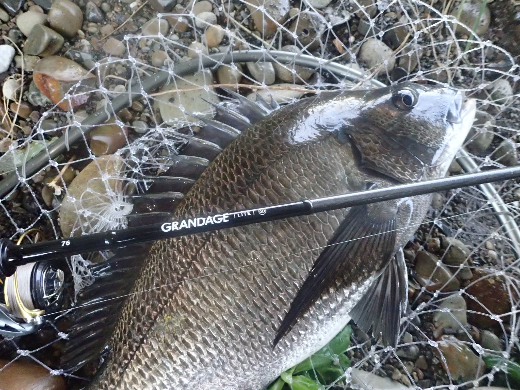 アピアスタッフブログ】 グランデージライト76でのチニングが楽し