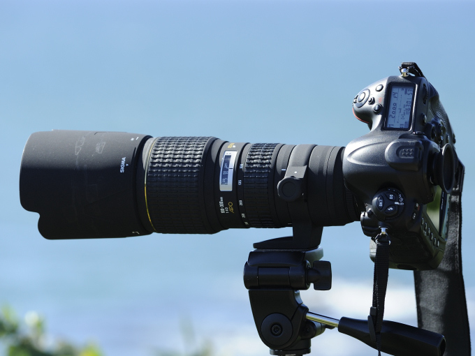 レンズの話題 102本目 【SIGMA APO 100-300mm F4 EX DG HSM