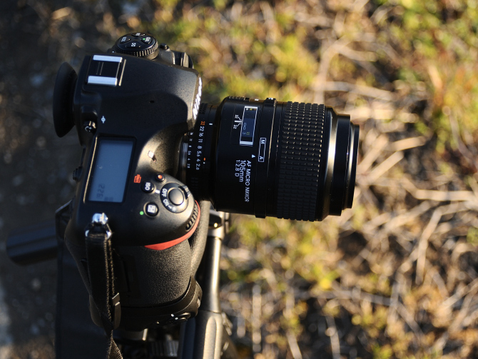 レンズの話題 112本目 【Ai AF Micro Nikkor 105mm F2.8D】 - コバルト