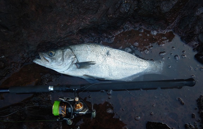 MCワークス ワイルドブレーカー113R セカンドインプレッション - 三十