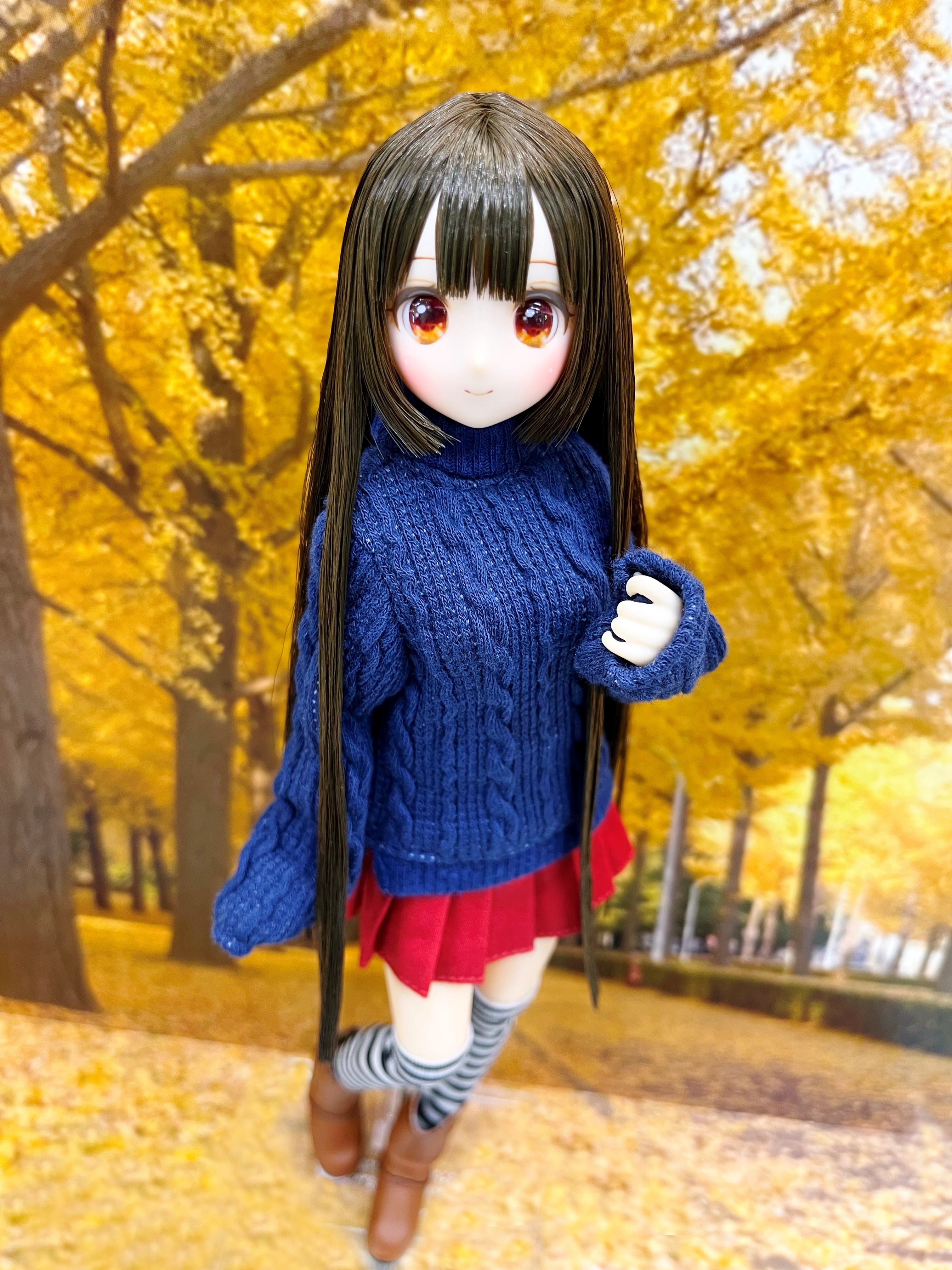 からふるDreamin'／葉鳥 ここね～私たちのあたらしい物語～（ブラック