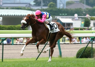 JRA育成馬日誌 : ダービー馬ウオッカを産んだJRA育成馬（事務局）