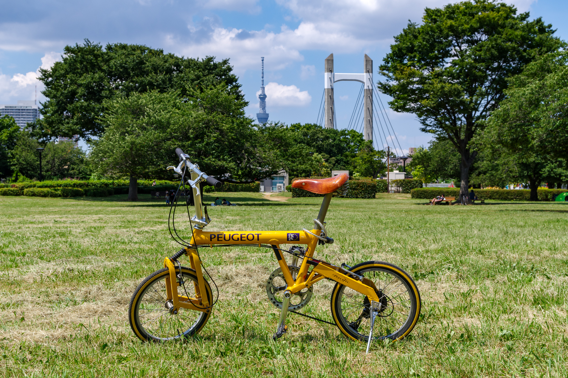 20年もののミニベロ PEUGEOT Pacific-18 に久しぶりに乗ってみた – 酔