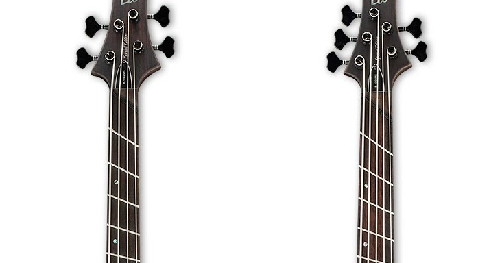 Gear Otaku: LTD からファンドフレットベースB-1004SE / B-1005SE