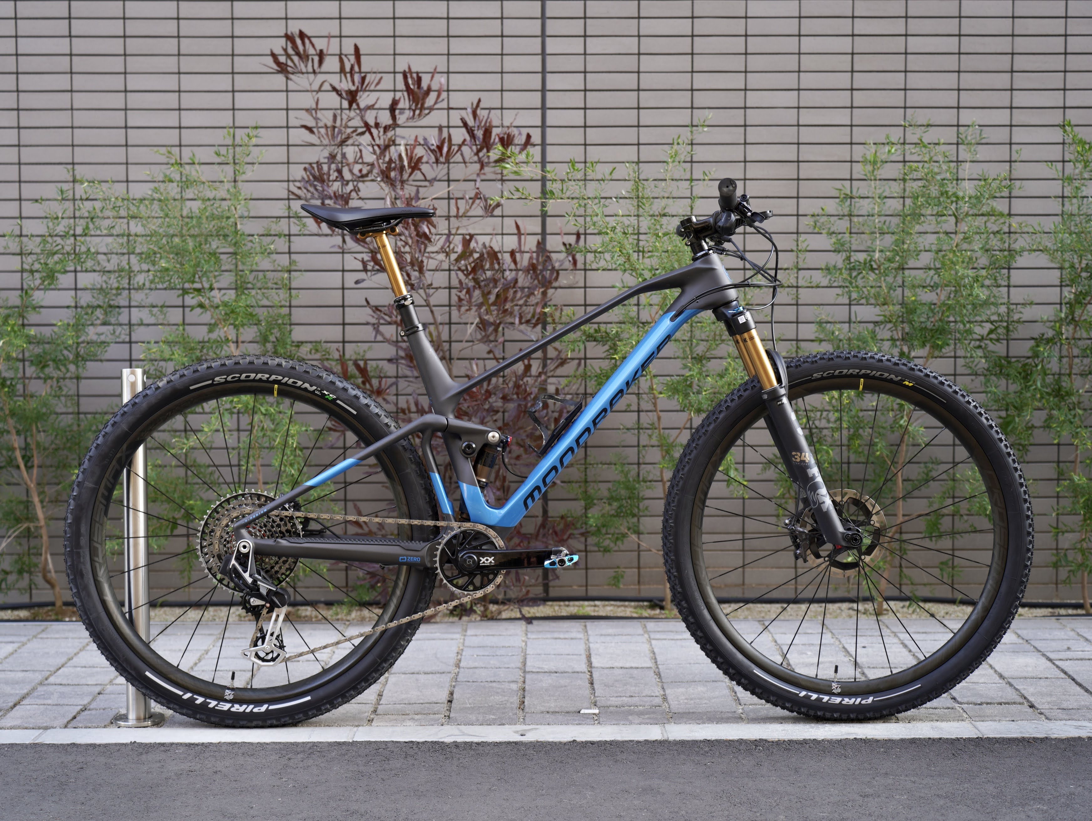 matthewcycle : FOX
