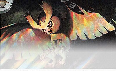 PROMO MアブソルEX(バトルフェスタ2014) 販売 | XY プロモーション