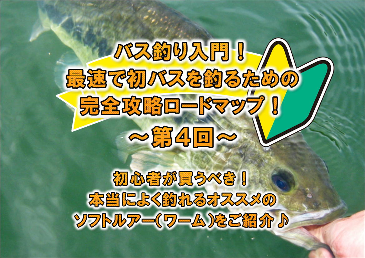 バス釣り入門！初心者でも釣れるオススメのソフトルアー（ワーム）をご